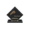 Plaque losange bronze feuilles papillon