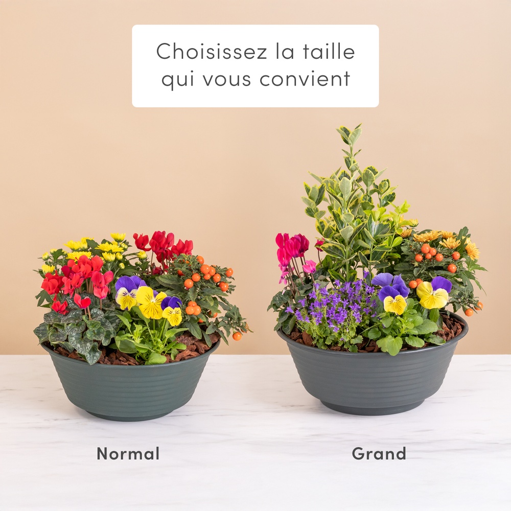 Eclat de tendresse